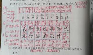 说和做课文笔记